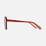 CARVE SUNGLASSES | - Crystal Pecan Frame Brown Gradient Lens - 36501
